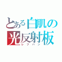 とある白肌の光反射板（レフバン）