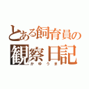 とある飼育員の観察日記（かゆうま）