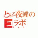 とある夜蝶のコラボ（ＣＡＳ）