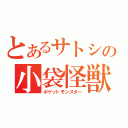 とあるサトシの小袋怪獣（ポケットモンスター）