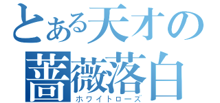 とある天才の蔷薇落白（ホワイトローズ）