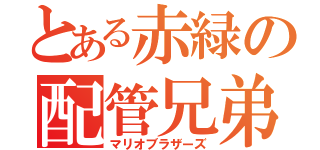 とある赤緑の配管兄弟（マリオブラザーズ）