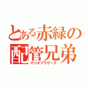 とある赤緑の配管兄弟（マリオブラザーズ）