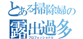 とある掃除婦の露出過多（プロフェッショナル）