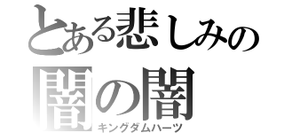 とある悲しみの闇の闇（キングダムハーツ）