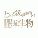 とある緩歩動物の最強生物（ウォーターベアー）