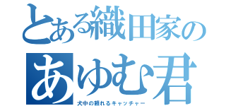 とある織田家のあゆむ君（犬中の頼れるキャッチャー）