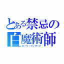 とある禁忌の白魔術師（ホーリーウィザード）