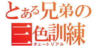 とある兄弟の三色訓練（チュートリアル）