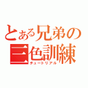 とある兄弟の三色訓練（チュートリアル）