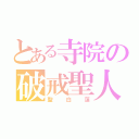 とある寺院の破戒聖人（聖白蓮）