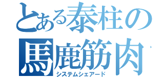 とある泰柱の馬鹿筋肉（システムシェアード）