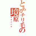 とあるチリ毛の境原（サカイハラ）