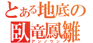 とある地底の臥竜鳳雛（アンノウン）