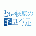 とある萩原の毛量不足（ハゲ）