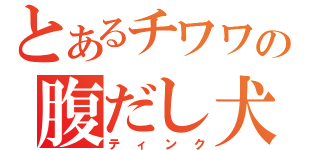 とあるチワワの腹だし犬（ティンク）