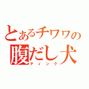 とあるチワワの腹だし犬（ティンク）