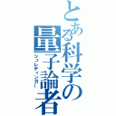 とある科学の量子論者（シュレディンガー）