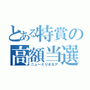 とある特賞の高額当選（ニューミリオネア）