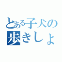 とある子犬の歩きしょん（）