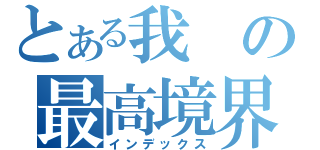 とある我の最高境界（インデックス）