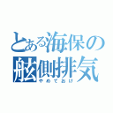 とある海保の舷側排気（やめておけ）