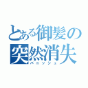 とある御髪の突然消失（バニッシュ）