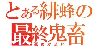 とある緋蜂の最終鬼畜（死ぬがよい）