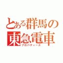 とある群馬の東急電車（プロパティーズ）