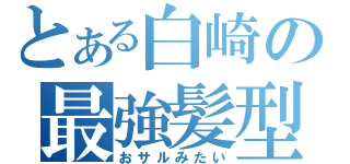 とある白崎の最強髪型（おサルみたい）