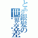 とある銀髪の世界交差（禁魂）