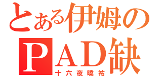 とある伊姆のＰＡＤ缺少（十六夜曉祐）