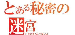 とある秘密の迷宮（ドラえもんじゃないよ）