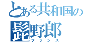 とある共和国の髭野郎（フランス）