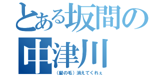 とある坂間の中津川（（髪の毛）消えてくれぇ）