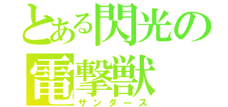 とある閃光の電撃獣（サンダース）