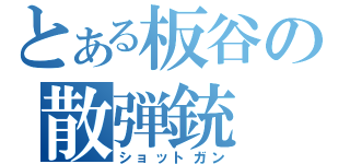 とある板谷の散弾銃（ショットガン）