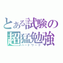 とある試験の超猛勉強（ハードワーク）