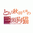 とある秋田犬猫の三頸狗猫（チュロスヴェロス）