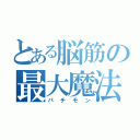 とある脳筋の最大魔法（パチモン）