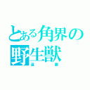 とある角界の野生獣（遠藤）