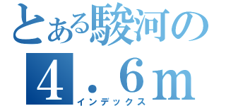 とある駿河の４．６ｍ（インデックス）