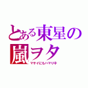 とある東星の嵐ヲタ（マサイにもハマり中）