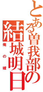 とある曽我部の結城明日奈（俺の嫁）