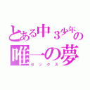 とある中３少年の唯一の夢（セックス）