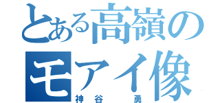 とある高嶺のモアイ像（神谷 勇）