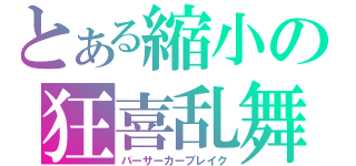 とある縮小の狂喜乱舞（バーサーカーブレイク）