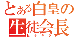 とある白皇の生徒会長（ヒナギク）