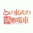 とある東武の臙脂電車（ステンレス）