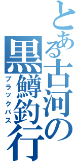 とある古河の黒鱒釣行（ブラックバス）